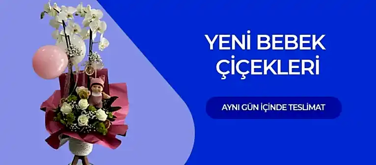 Yeni Bebek Çiçekleri