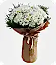 Papatya Buketi
